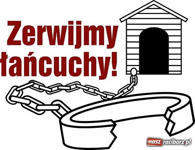 Zdjęcie w galerii na portalu naszraciborz.pl: Akcja Zerwijmy Łańcuchy! wiadomości z regionu