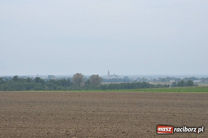 Zdjęcie w galerii na portalu naszraciborz.pl: W gminie Krzanowice oznakowano ścieżki i zbudowano miejsca rekreacji dla rowerzystów wiadomości z regionu
