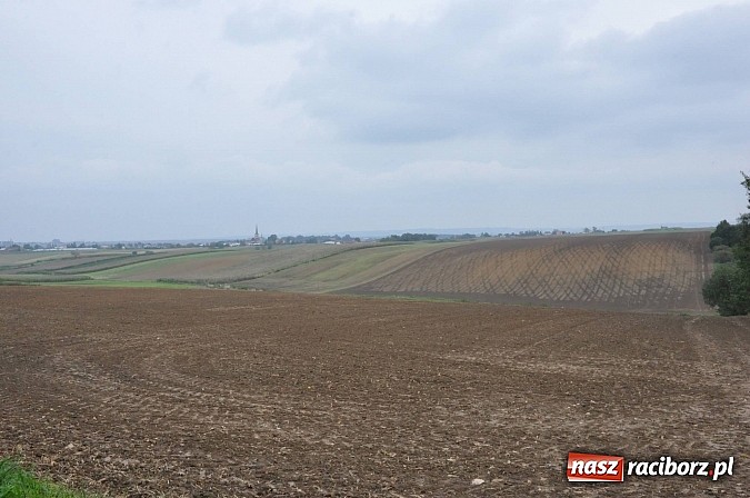 Zdjęcie w galerii na portalu naszraciborz.pl: W gminie Krzanowice oznakowano ścieżki i zbudowano miejsca rekreacji dla rowerzystów wiadomości z regionu