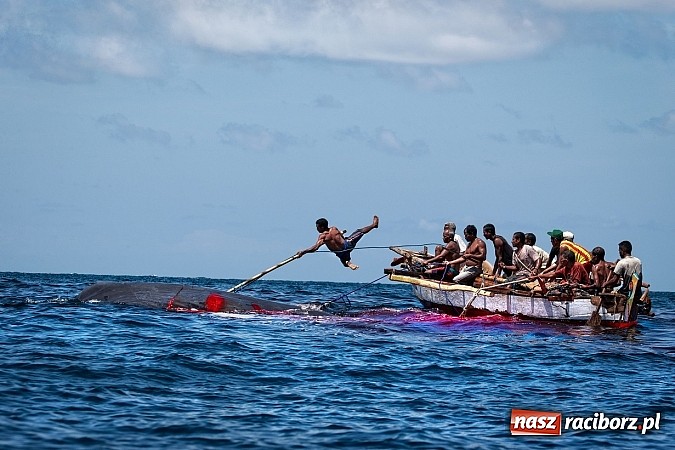 Zdjęcie w galerii na portalu naszraciborz.pl: Obrazy, które uczyniły ze świata obiekt sam w sobie wiadomości z regionu