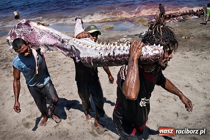 Zdjęcie w galerii na portalu naszraciborz.pl: Obrazy, które uczyniły ze świata obiekt sam w sobie wiadomości z regionu