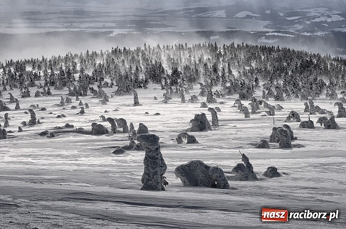Zdjęcie w galerii na portalu naszraciborz.pl: Obrazy, które uczyniły ze świata obiekt sam w sobie wiadomości z regionu
