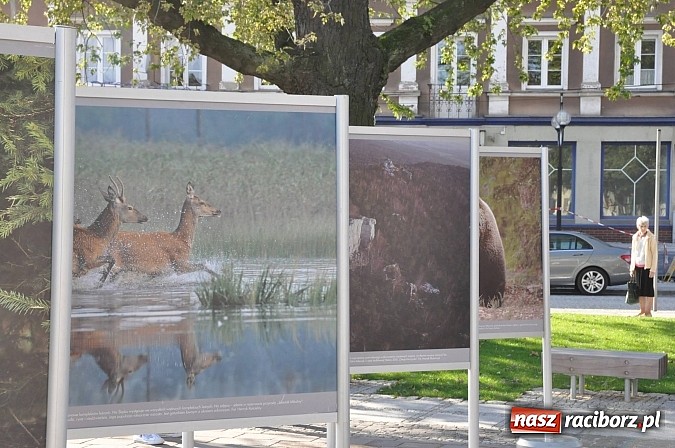 Zdjęcie w galerii na portalu naszraciborz.pl: W plecaku z Naturą – propagowanie spotkań z przyrodą  wiadomości z regionu