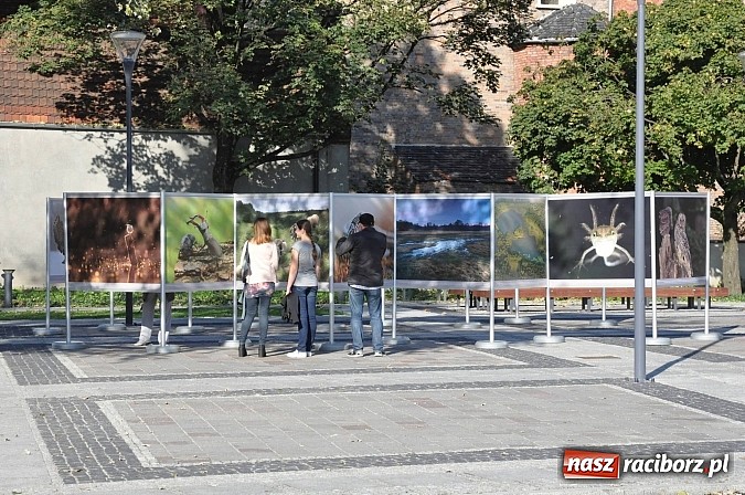 Zdjęcie w galerii na portalu naszraciborz.pl: W plecaku z Naturą – propagowanie spotkań z przyrodą  wiadomości z regionu