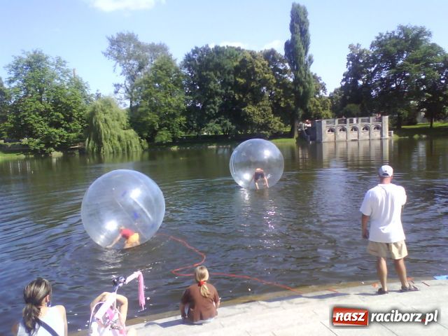 Zdjęcie w galerii na portalu naszraciborz.pl: Acqua ball już w Raciborzu wiadomości z regionu