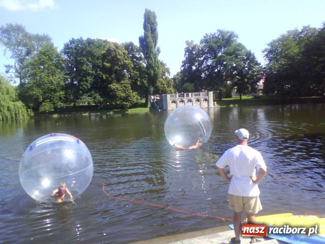Zdjęcie w galerii na portalu naszraciborz.pl: Acqua ball już w Raciborzu wiadomości z regionu