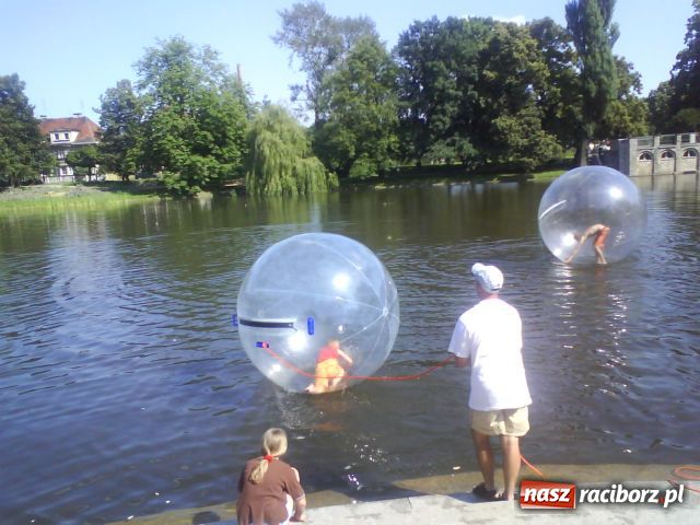 Zdjęcie w galerii na portalu naszraciborz.pl: Acqua ball już w Raciborzu wiadomości z regionu