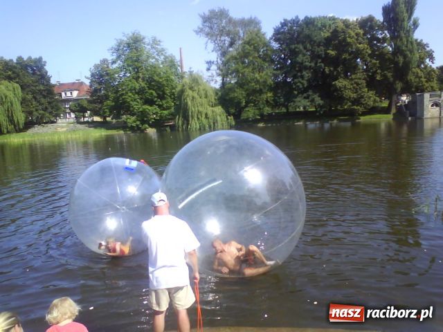 Zdjęcie w galerii na portalu naszraciborz.pl: Acqua ball już w Raciborzu wiadomości z regionu