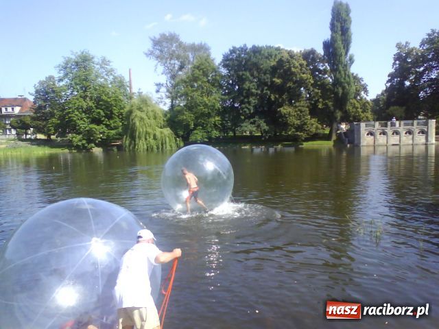 Zdjęcie w galerii na portalu naszraciborz.pl: Acqua ball już w Raciborzu wiadomości z regionu