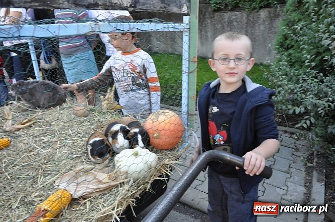 Zdjęcie w galerii na portalu naszraciborz.pl: Brzezie to potęga! Huczne dożynki miejskie 2014. Wspaniały korowód wiadomości z regionu