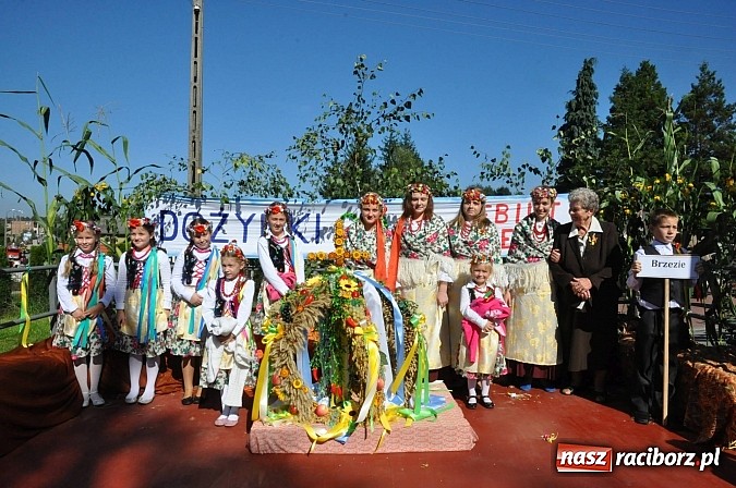 Zdjęcie w galerii na portalu naszraciborz.pl: Brzezie to potęga! Huczne dożynki miejskie 2014. Wspaniały korowód wiadomości z regionu