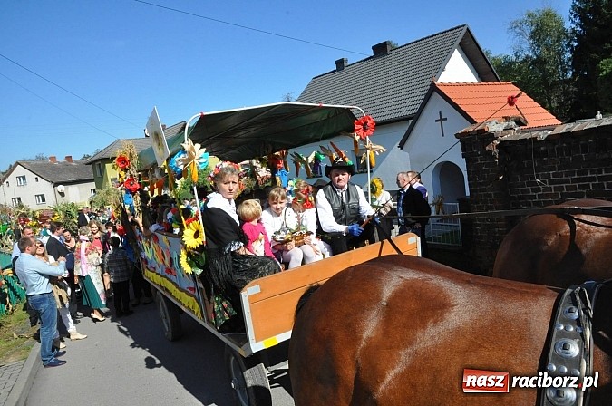 Zdjęcie w galerii na portalu naszraciborz.pl: Brzezie to potęga! Huczne dożynki miejskie 2014. Wspaniały korowód wiadomości z regionu