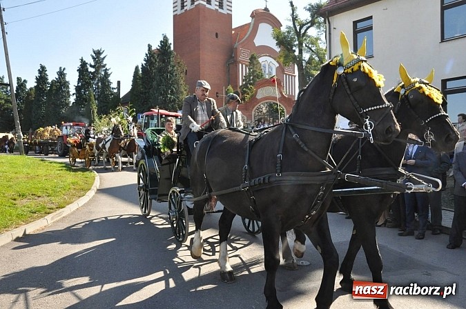 Zdjęcie w galerii na portalu naszraciborz.pl: Brzezie to potęga! Huczne dożynki miejskie 2014. Wspaniały korowód wiadomości z regionu