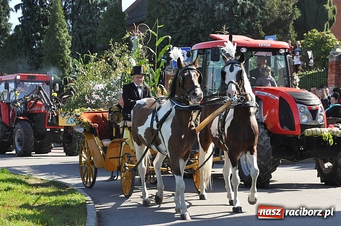 Zdjęcie w galerii na portalu naszraciborz.pl: Brzezie to potęga! Huczne dożynki miejskie 2014. Wspaniały korowód wiadomości z regionu