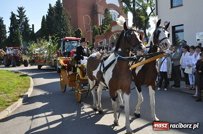 Zdjęcie w galerii na portalu naszraciborz.pl: Brzezie to potęga! Huczne dożynki miejskie 2014. Wspaniały korowód wiadomości z regionu