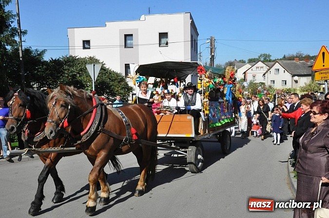 Zdjęcie w galerii na portalu naszraciborz.pl: Brzezie to potęga! Huczne dożynki miejskie 2014. Wspaniały korowód wiadomości z regionu