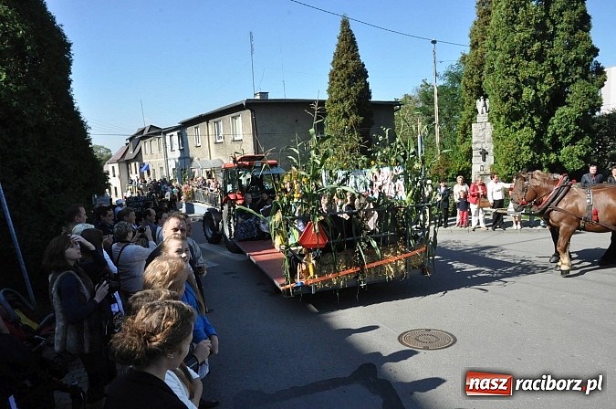 Zdjęcie w galerii na portalu naszraciborz.pl: Brzezie to potęga! Huczne dożynki miejskie 2014. Wspaniały korowód wiadomości z regionu