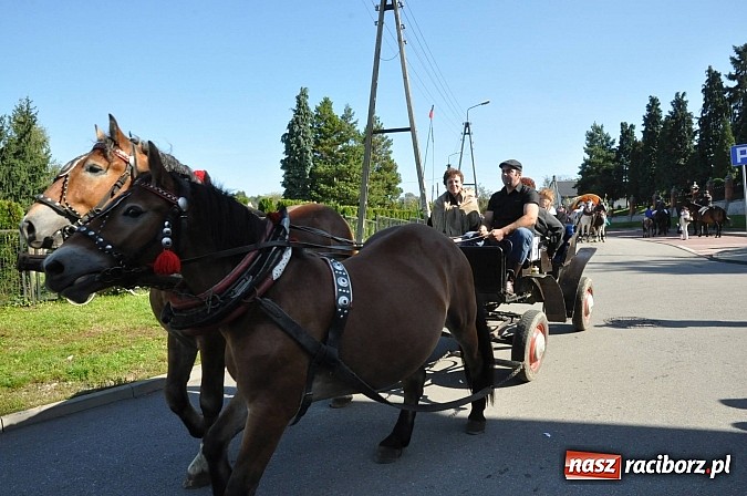 Zdjęcie w galerii na portalu naszraciborz.pl: Brzezie to potęga! Huczne dożynki miejskie 2014. Wspaniały korowód wiadomości z regionu