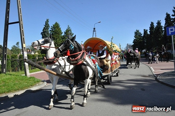 Zdjęcie w galerii na portalu naszraciborz.pl: Brzezie to potęga! Huczne dożynki miejskie 2014. Wspaniały korowód wiadomości z regionu