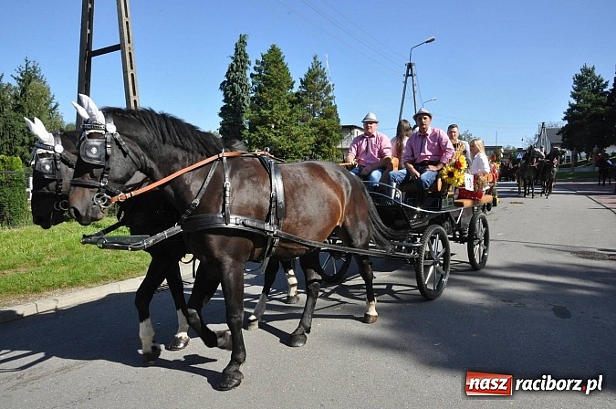 Zdjęcie w galerii na portalu naszraciborz.pl: Brzezie to potęga! Huczne dożynki miejskie 2014. Wspaniały korowód wiadomości z regionu