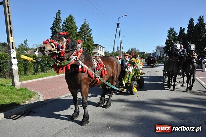 Zdjęcie w galerii na portalu naszraciborz.pl: Brzezie to potęga! Huczne dożynki miejskie 2014. Wspaniały korowód wiadomości z regionu