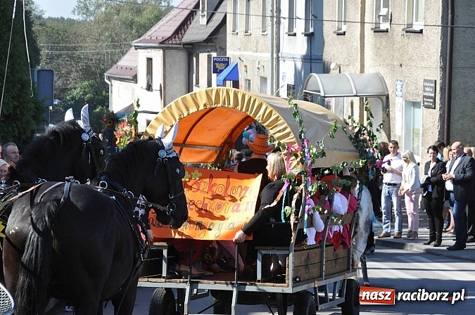 Zdjęcie w galerii na portalu naszraciborz.pl: Brzezie to potęga! Huczne dożynki miejskie 2014. Wspaniały korowód wiadomości z regionu