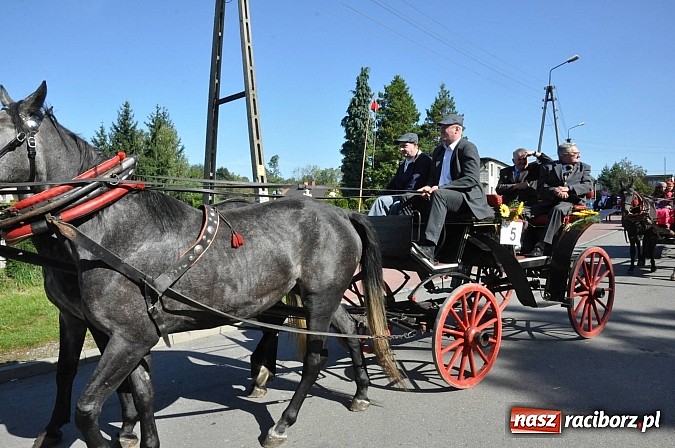 Zdjęcie w galerii na portalu naszraciborz.pl: Brzezie to potęga! Huczne dożynki miejskie 2014. Wspaniały korowód wiadomości z regionu