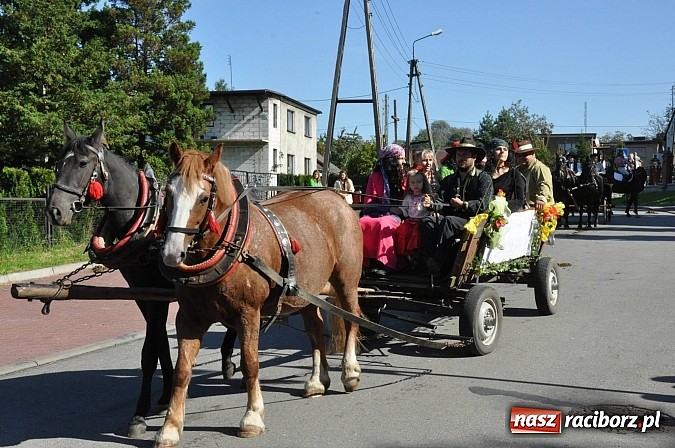 Zdjęcie w galerii na portalu naszraciborz.pl: Brzezie to potęga! Huczne dożynki miejskie 2014. Wspaniały korowód wiadomości z regionu