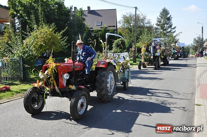 Zdjęcie w galerii na portalu naszraciborz.pl: Brzezie to potęga! Huczne dożynki miejskie 2014. Wspaniały korowód wiadomości z regionu
