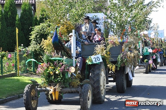 Zdjęcie w galerii na portalu naszraciborz.pl: Brzezie to potęga! Huczne dożynki miejskie 2014. Wspaniały korowód wiadomości z regionu