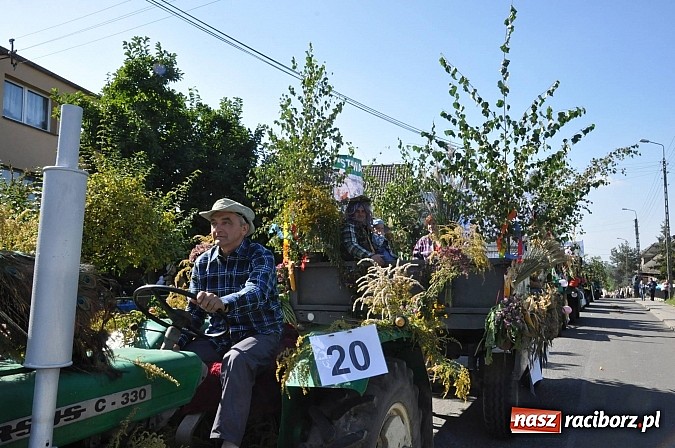 Zdjęcie w galerii na portalu naszraciborz.pl: Brzezie to potęga! Huczne dożynki miejskie 2014. Wspaniały korowód wiadomości z regionu