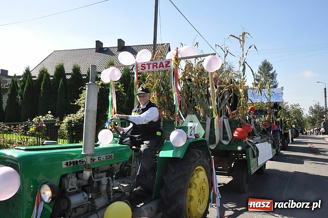 Zdjęcie w galerii na portalu naszraciborz.pl: Brzezie to potęga! Huczne dożynki miejskie 2014. Wspaniały korowód wiadomości z regionu