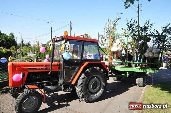 Zdjęcie w galerii na portalu naszraciborz.pl: Brzezie to potęga! Huczne dożynki miejskie 2014. Wspaniały korowód wiadomości z regionu