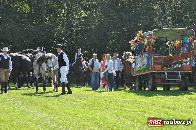 Zdjęcie w galerii na portalu naszraciborz.pl: Brzezie to potęga! Huczne dożynki miejskie 2014. Wspaniały korowód wiadomości z regionu