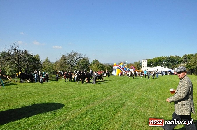 Zdjęcie w galerii na portalu naszraciborz.pl: Brzezie to potęga! Huczne dożynki miejskie 2014. Wspaniały korowód wiadomości z regionu