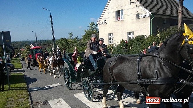 Zdjęcie w galerii na portalu naszraciborz.pl: Brzezie to potęga! Huczne dożynki miejskie 2014. Wspaniały korowód wiadomości z regionu