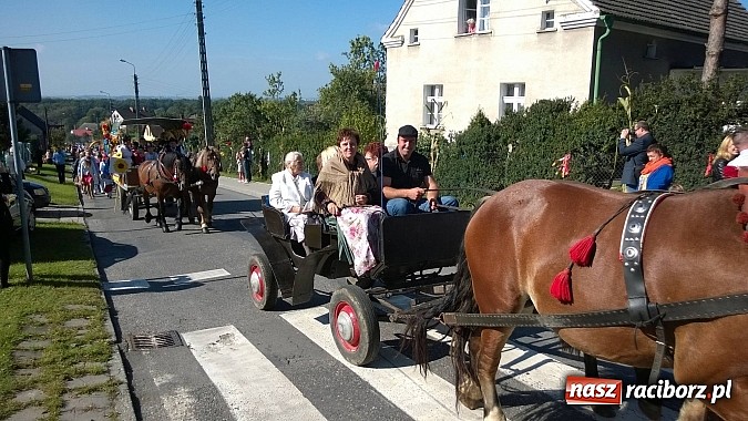 Zdjęcie w galerii na portalu naszraciborz.pl: Brzezie to potęga! Huczne dożynki miejskie 2014. Wspaniały korowód wiadomości z regionu