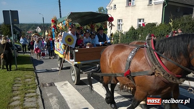 Zdjęcie w galerii na portalu naszraciborz.pl: Brzezie to potęga! Huczne dożynki miejskie 2014. Wspaniały korowód wiadomości z regionu