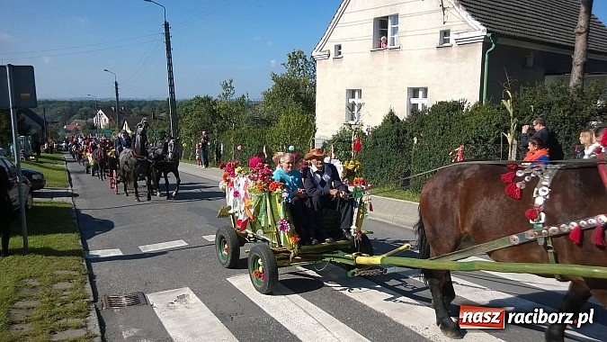 Zdjęcie w galerii na portalu naszraciborz.pl: Brzezie to potęga! Huczne dożynki miejskie 2014. Wspaniały korowód wiadomości z regionu