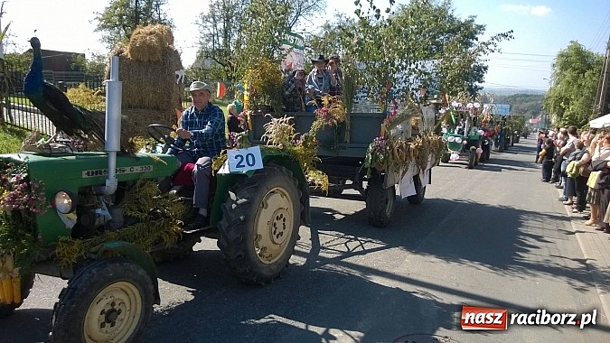 Zdjęcie w galerii na portalu naszraciborz.pl: Brzezie to potęga! Huczne dożynki miejskie 2014. Wspaniały korowód wiadomości z regionu