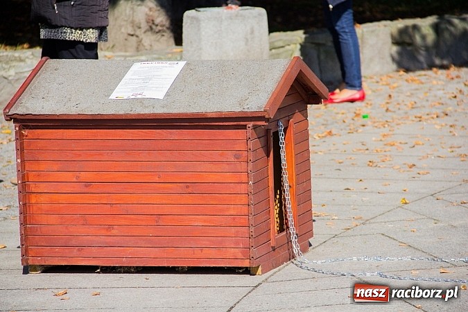 Zdjęcie w galerii na portalu naszraciborz.pl: Zerwijmy Łańcuchy w Parku Roth wiadomości z regionu