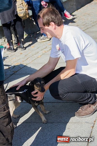 Zdjęcie w galerii na portalu naszraciborz.pl: Zerwijmy Łańcuchy w Parku Roth wiadomości z regionu