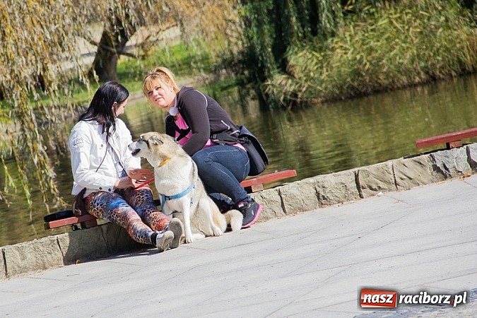 Zdjęcie w galerii na portalu naszraciborz.pl: Zerwijmy Łańcuchy w Parku Roth wiadomości z regionu