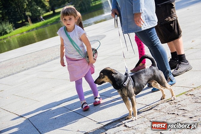 Zdjęcie w galerii na portalu naszraciborz.pl: Zerwijmy Łańcuchy w Parku Roth wiadomości z regionu