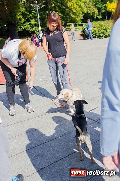 Zdjęcie w galerii na portalu naszraciborz.pl: Zerwijmy Łańcuchy w Parku Roth wiadomości z regionu