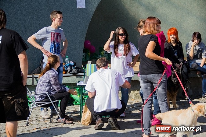 Zdjęcie w galerii na portalu naszraciborz.pl: Zerwijmy Łańcuchy w Parku Roth wiadomości z regionu