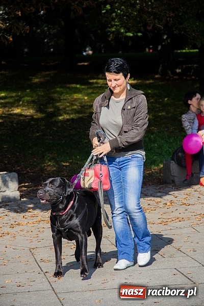 Zdjęcie w galerii na portalu naszraciborz.pl: Zerwijmy Łańcuchy w Parku Roth wiadomości z regionu