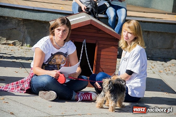 Zdjęcie w galerii na portalu naszraciborz.pl: Zerwijmy Łańcuchy w Parku Roth wiadomości z regionu