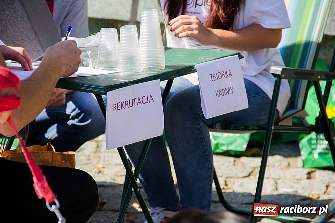 Zdjęcie w galerii na portalu naszraciborz.pl: Zerwijmy Łańcuchy w Parku Roth wiadomości z regionu