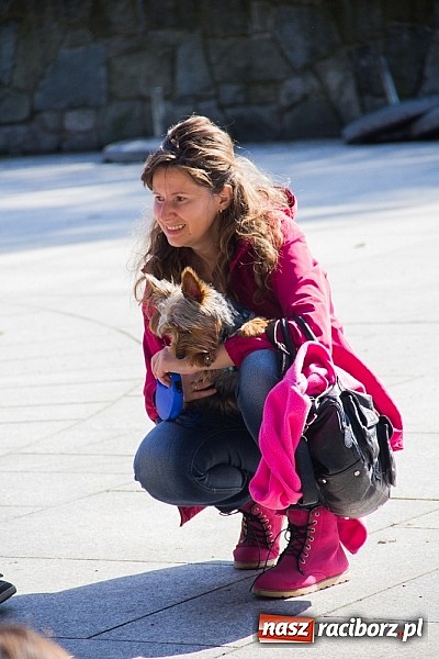 Zdjęcie w galerii na portalu naszraciborz.pl: Zerwijmy Łańcuchy w Parku Roth wiadomości z regionu